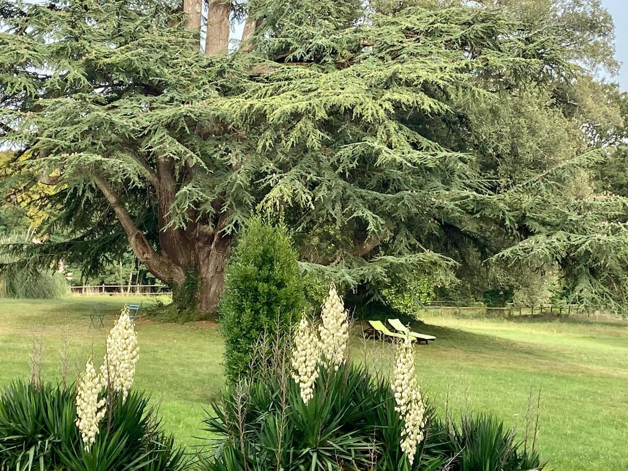 Chateau La Bainerie Tierce Buitenkant foto